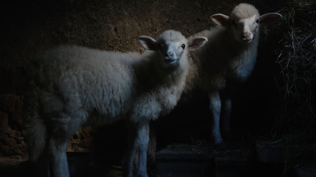 Agnus Dei