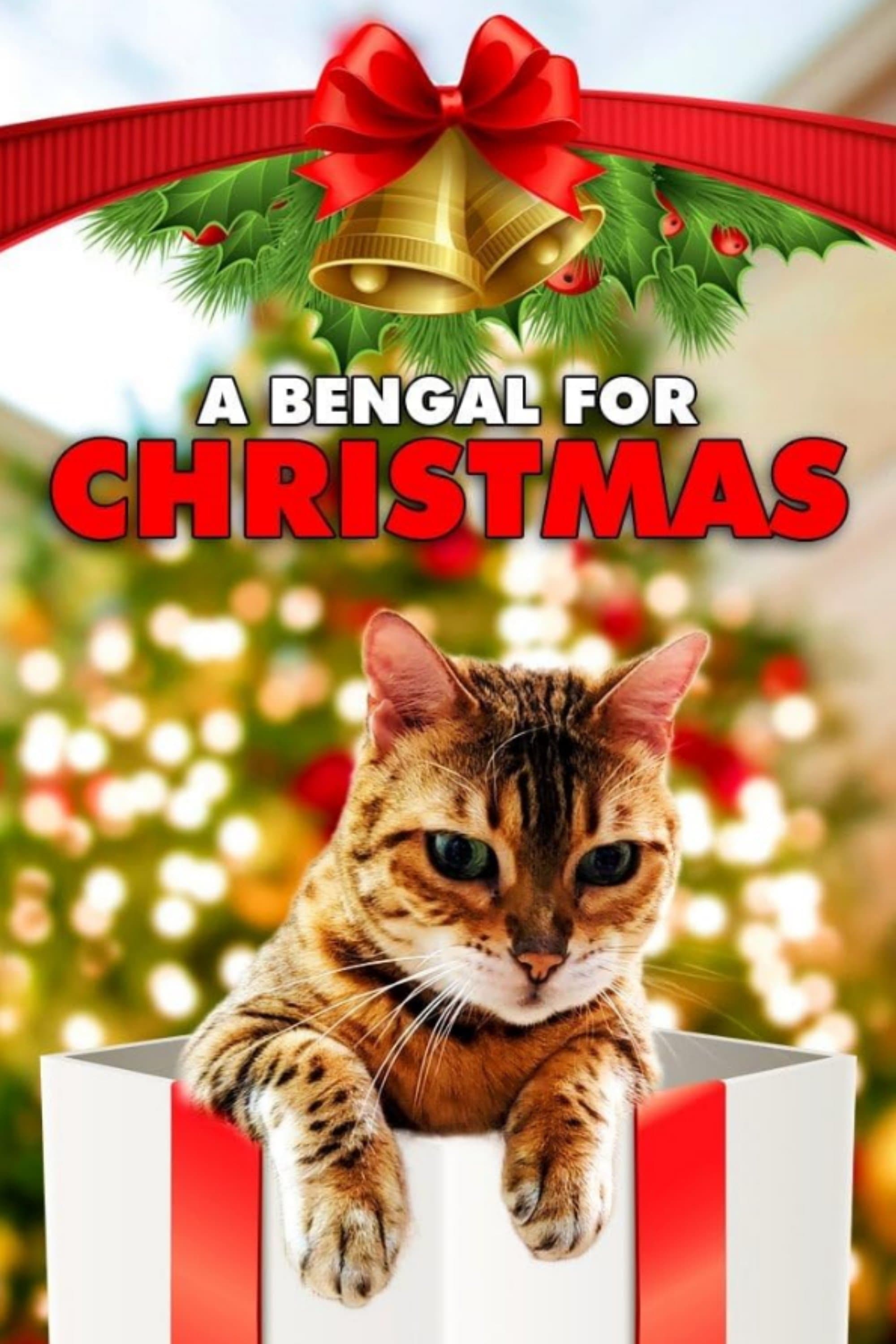 A Bengal for Christmas