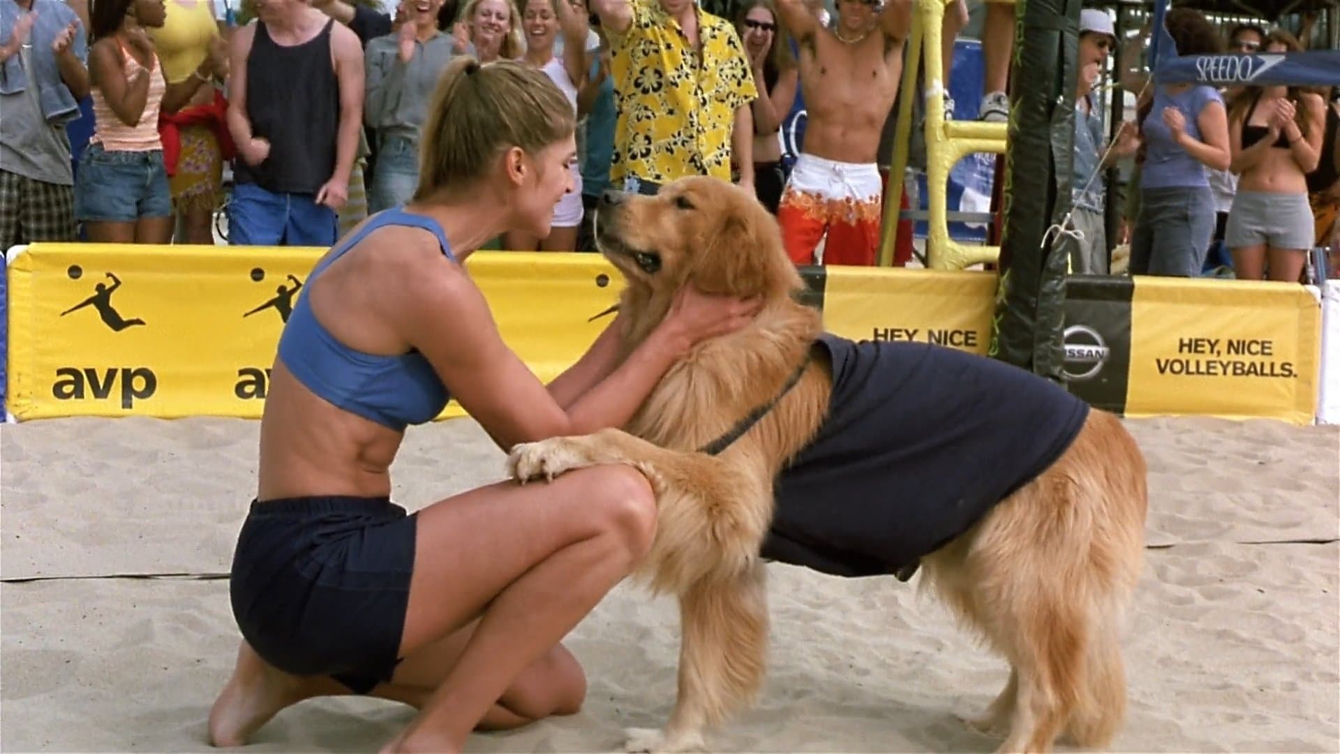 Air Bud: Spikes Back