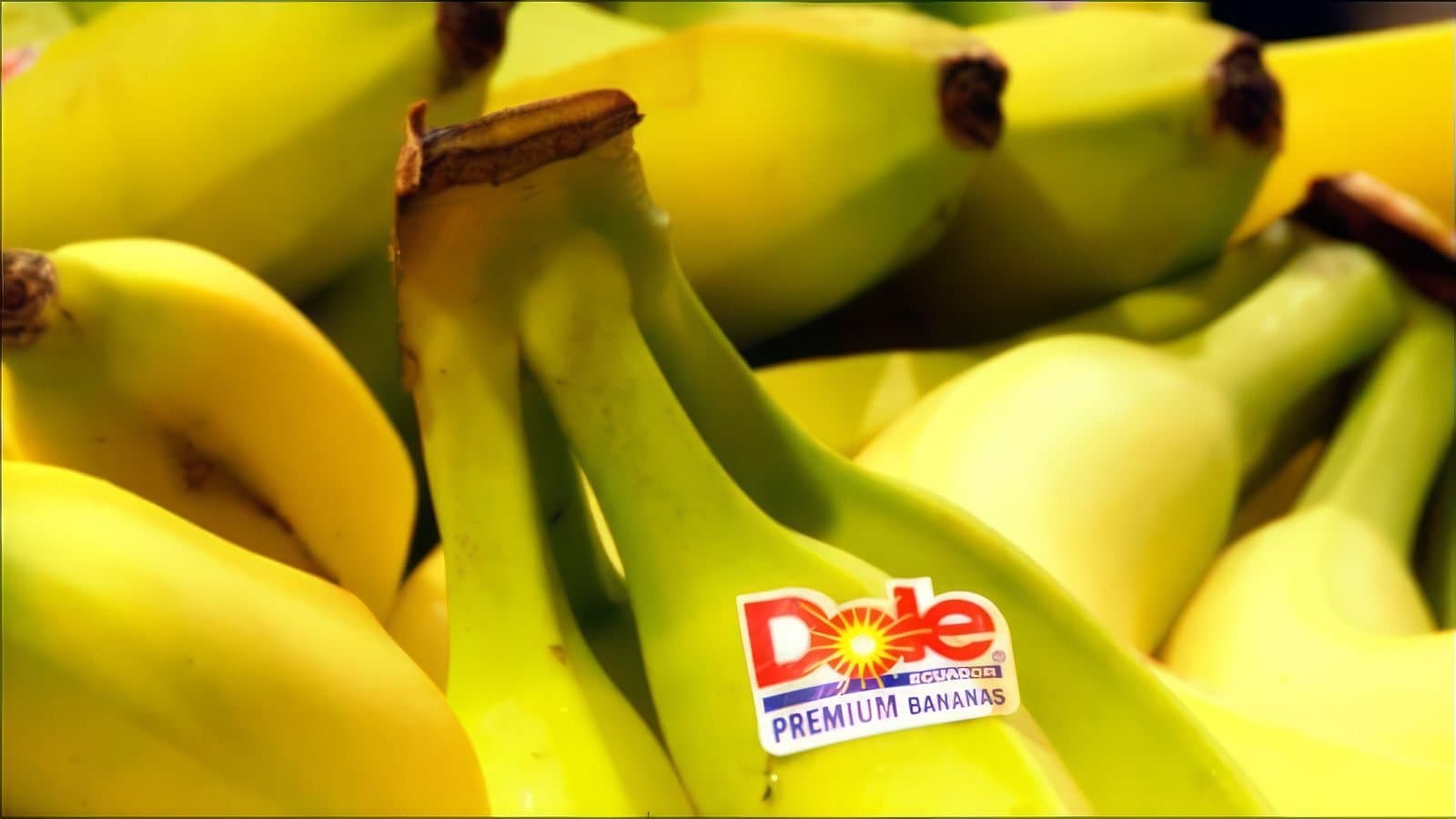 Big Boys Gone Bananas!*