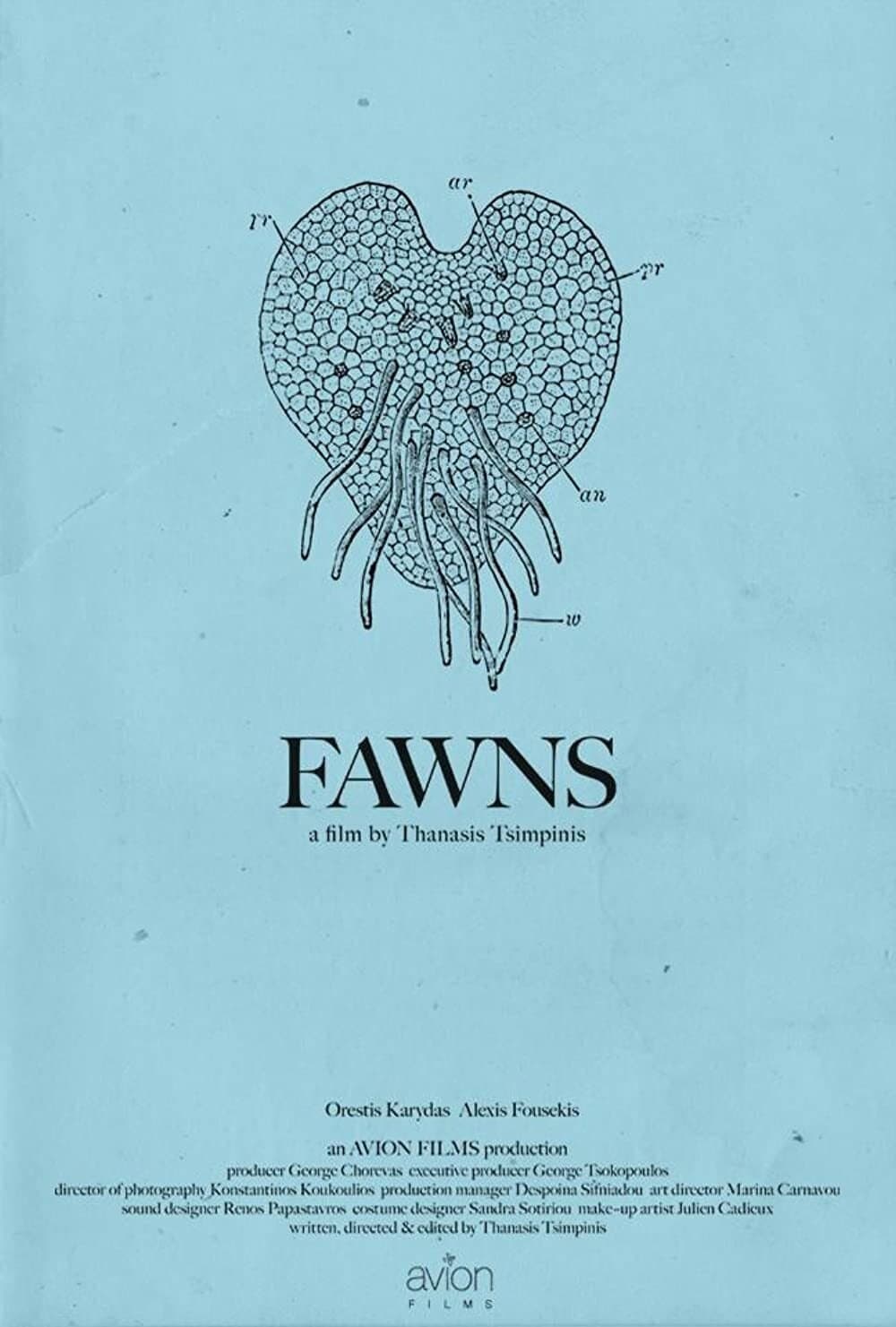 Fawns