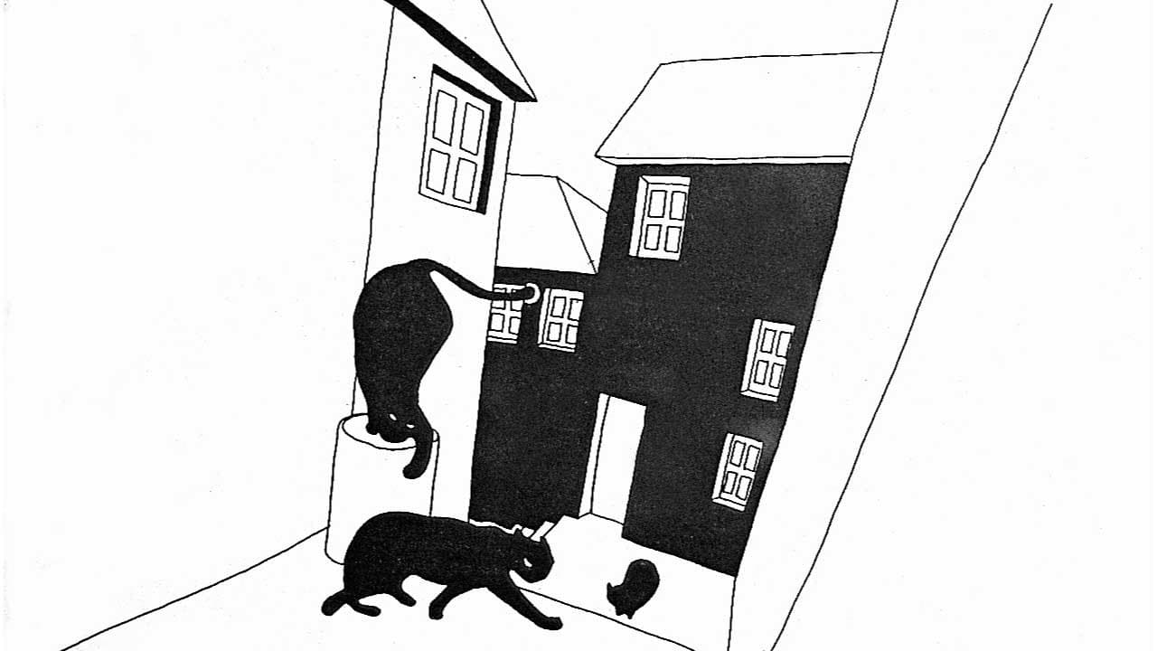 Tale About the Cat and the Moon